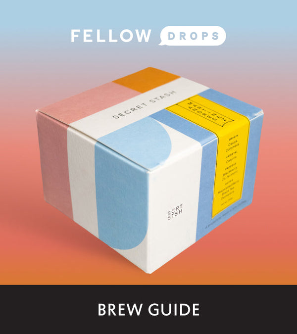 Fellow's Take on Andrés Martinez, Blackberry Co-Ferment by Mom 'n 'Em | Brew Recipe