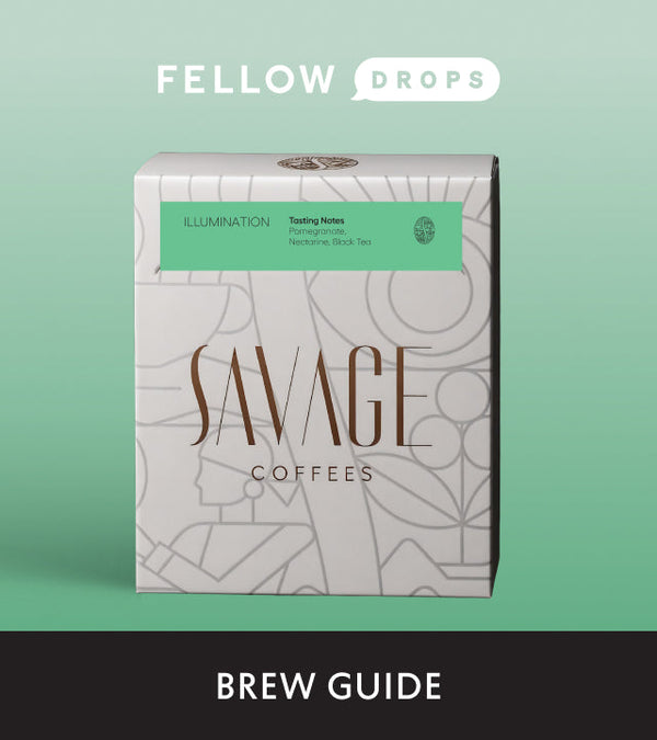 Fellow's Take on Illumination by Savage Coffees | Brew Recipe