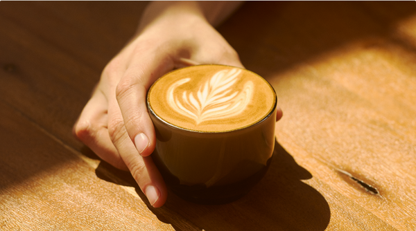 Types of Espresso Drinks: A Guide to Americanos, Lattes, Cappuccinos & More