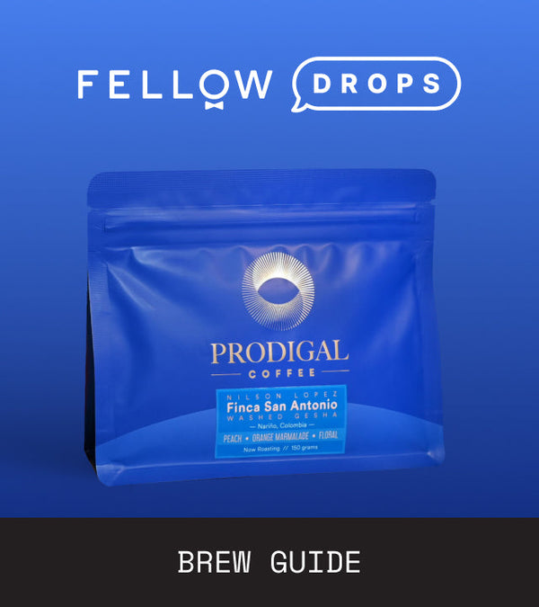 Fellow's Take on Finca San Antonio by Prodigal | Brew Recipe