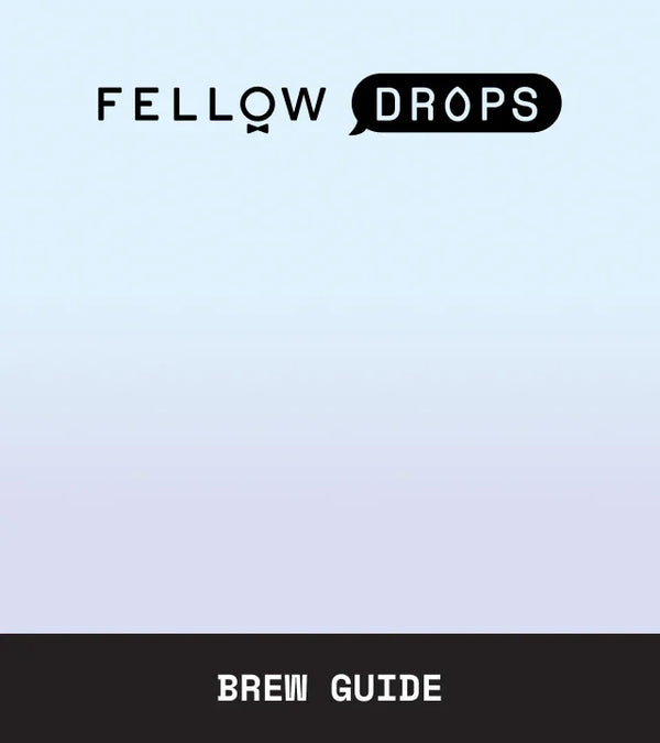Fellow's Take on Costa Rica San Roque Semi-Washed by Loquat | Brew Guide | Fellow