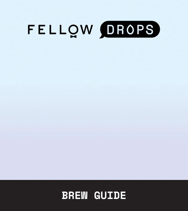 Fellow's Take on Costa Rica San Roque Semi-Washed by Loquat | Brew Guide | Fellow
