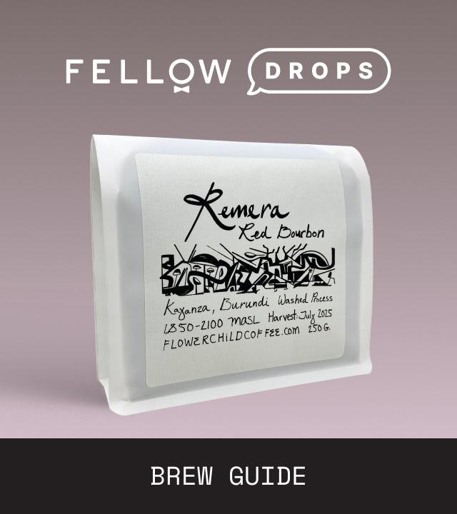 Fellow's Take on Burundi Remera by Flower Child | Brew Recipe