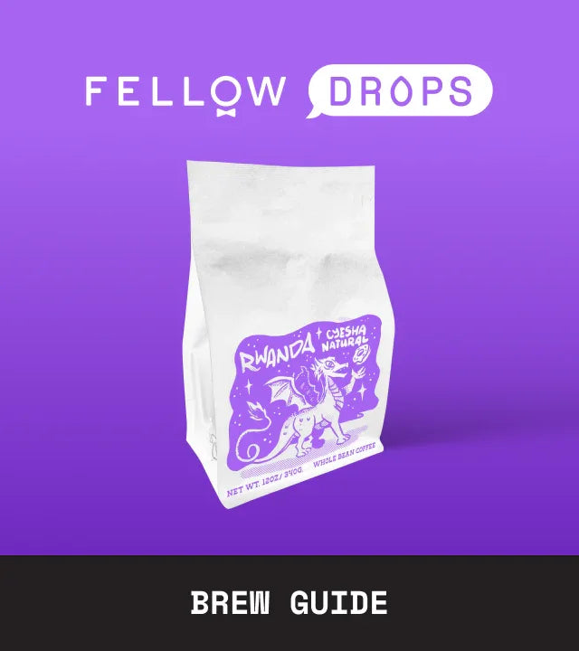 Fellow's Take on Brandywine Rwanda Cyesha Natural | Brew Guide | Fellow