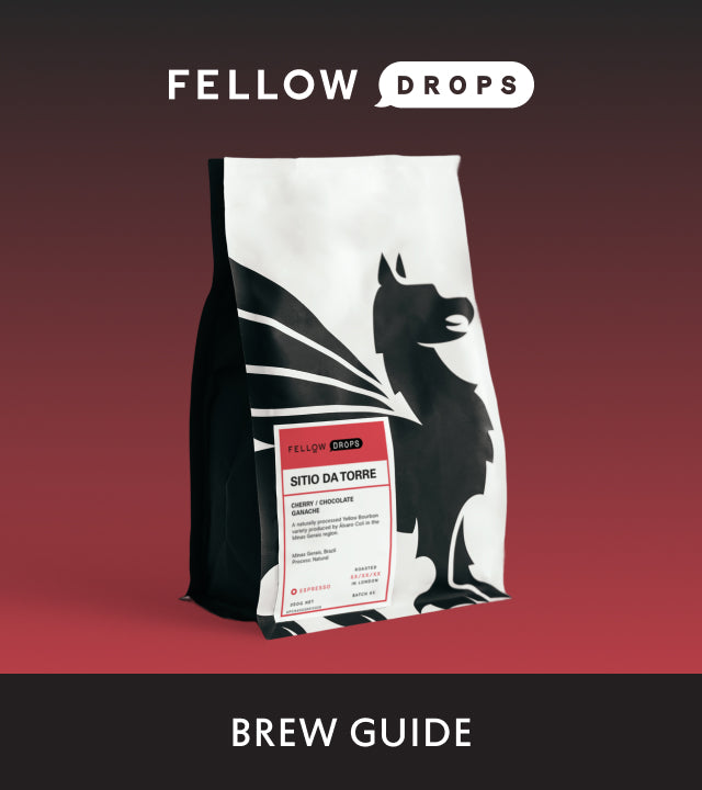 Fellow's Take on Sitio da Torre by Square Mile | Brew Recipe