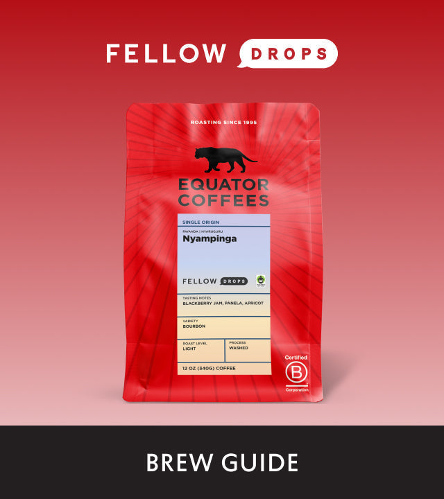 Fellow's Take on Rwanda Nyampinga by Equator Coffees | Brew Recipe