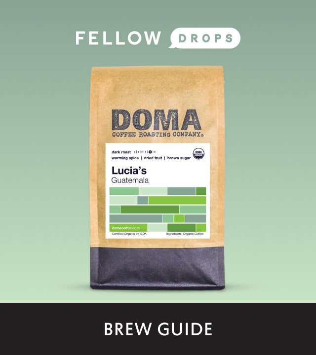 Fellow's Take on Lucia's Guatemala by DOMA  | Brew Recipe