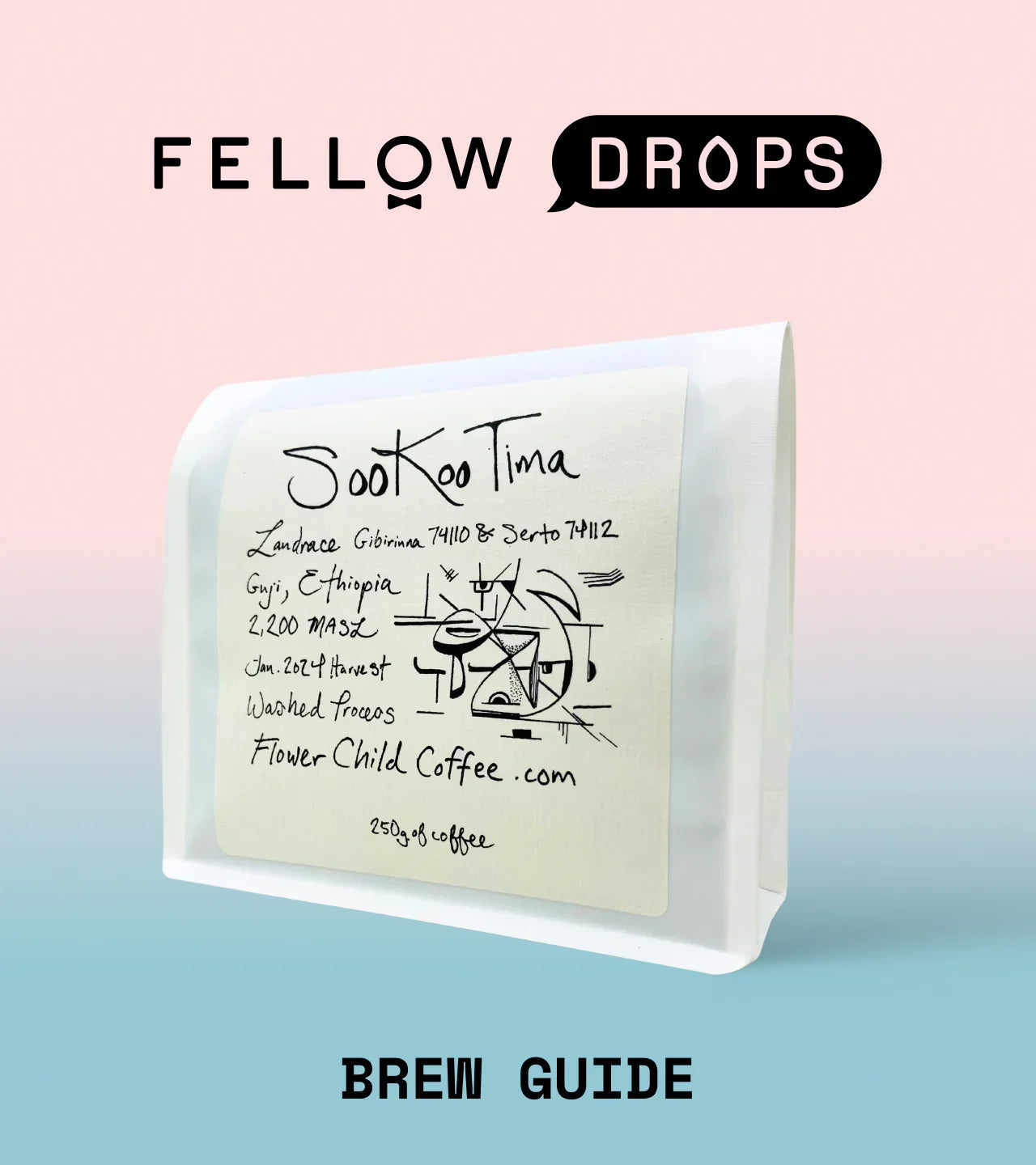 Fellow's Take on Sookoo Tima by Flower Child | Brew Recipe | Fellow