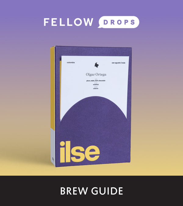 Fellow's Take on Olgar Ortega by ilse coffee | Brew Recipe