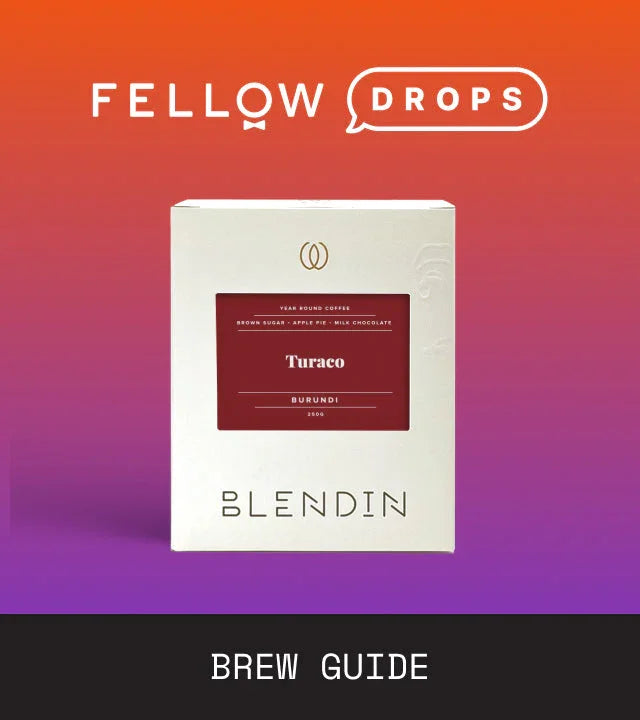 Fellow's Take on BlendIn Coffee Club Burundi Turaco Medium-Dark | Brew Recipe | Fellow