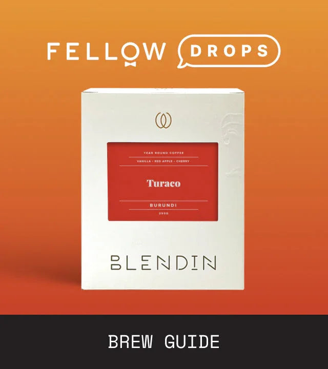 Fellow's Take on BlendIn Coffee Club Burundi Turaco Light | Brew Recipe | Fellow