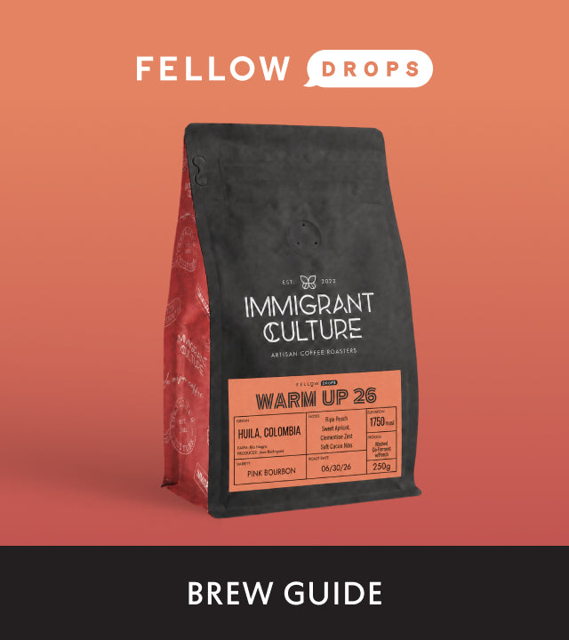 Fellow's Take on Warm Up 26 by Immigrant Culture | Brew Recipe