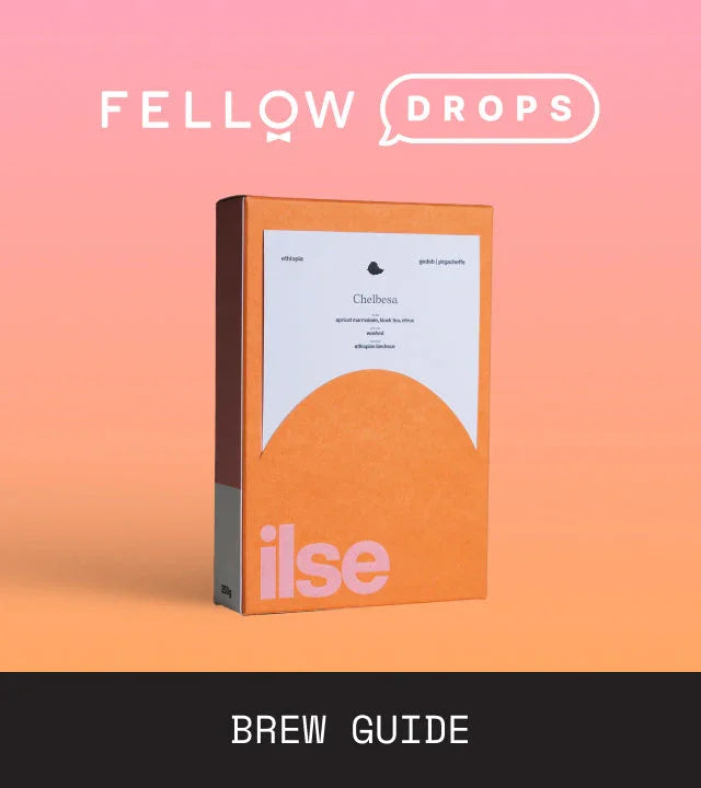 Fellow's Take on ilse coffee Ethiopia Chelbesa | Brew Recipe | Fellow