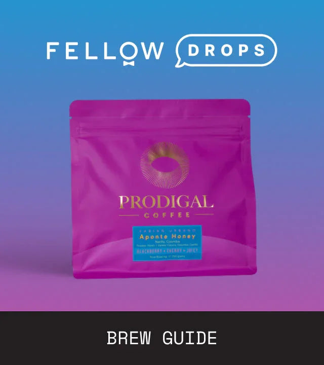 Fellow's Take on Aponte Honey by Prodigal Coffee | Brew Recipe | Fellow