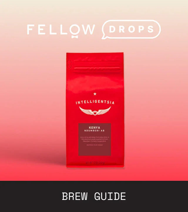 Fellow's Take on Intelligentsia Kenya Ndumberi | Brew Recipe | Fellow