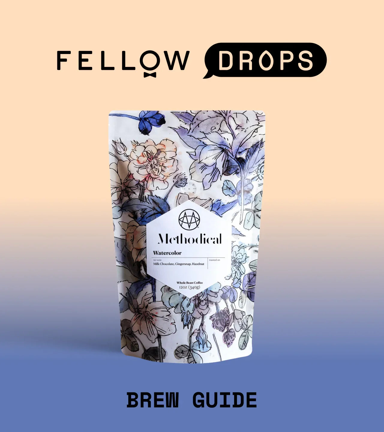 Fellow's Take on Watercolor by Methodical | Brew Recipe | Fellow
