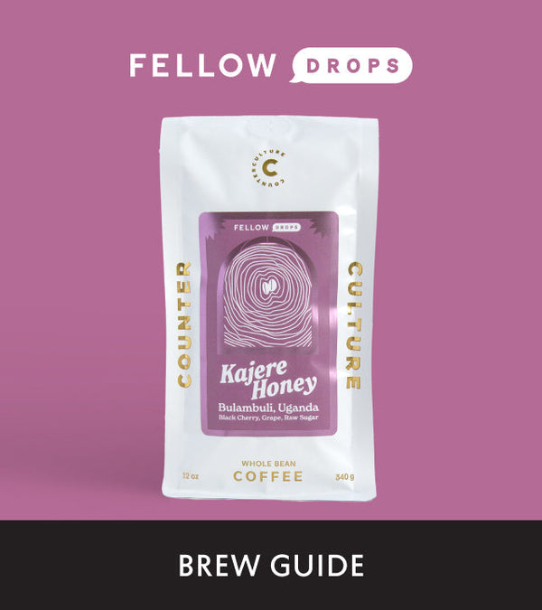Fellow's Take on Kajere Honey by Counter Culture | Brew Guide
