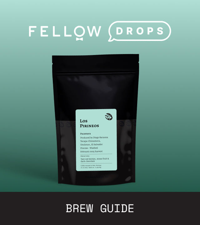 Fellow's Take on Los Pirineos Pacamara by Tim Wendelboe | Brew Recipe