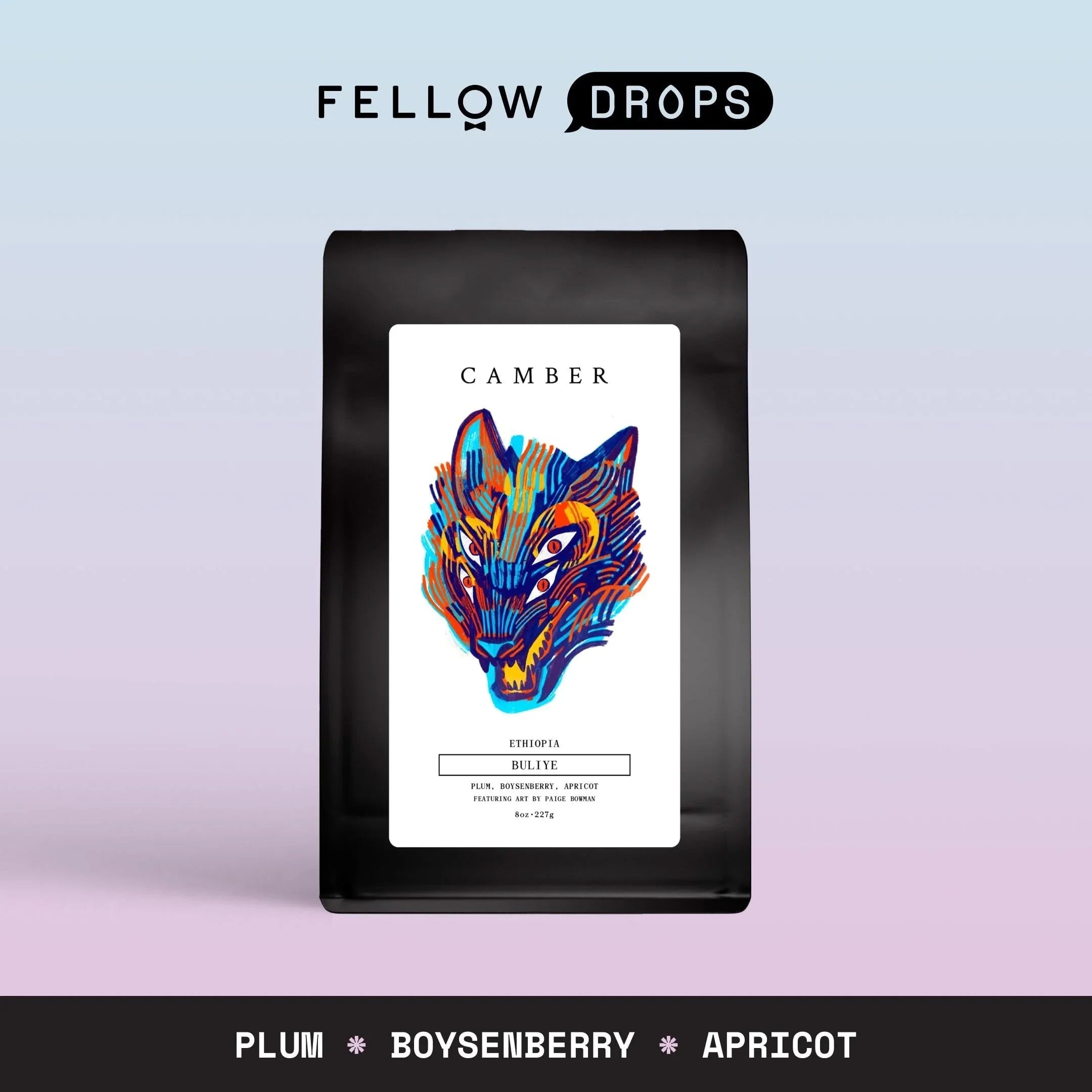 Fellow's Take on Camber Ethiopia Buliye | Brew Recipe | Fellow