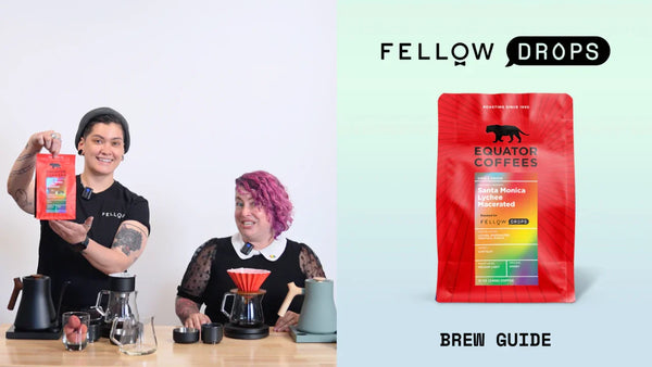 Fellow's Take on Colombia Santa Monica Lychee Macerated by Equator | Brew Recipe | Fellow