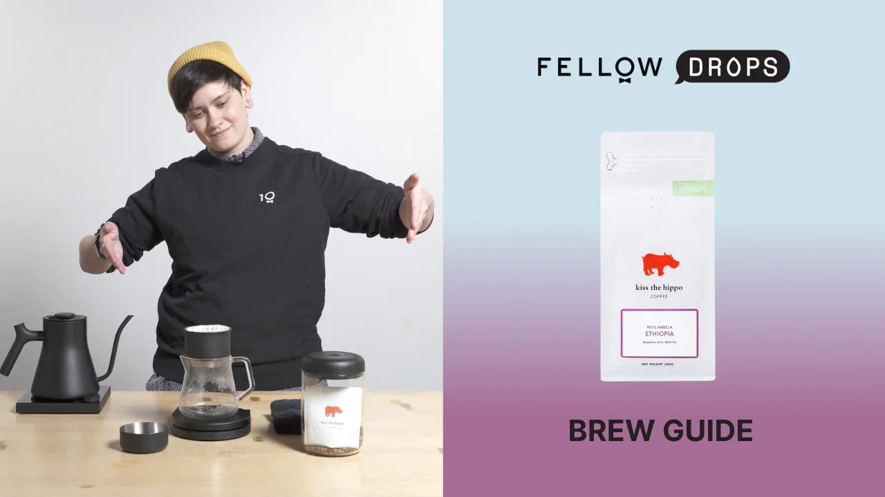 Fellow's Take On Ethiopia Wete Ambela Natural by Kiss the Hippo | Brew Recipe | Fellow