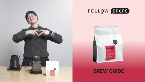 Fellow's Take On Colombia Luz Divia by Heart | Brew Recipe | Fellow