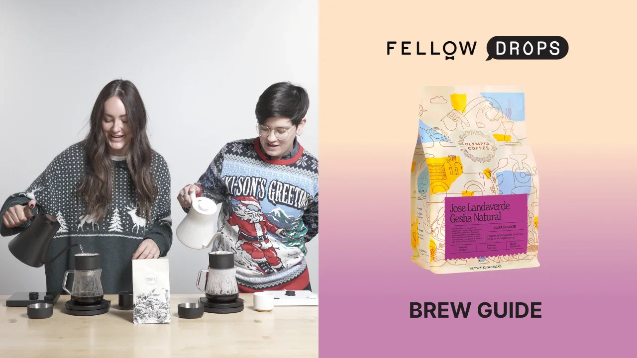 Fellow's Take On El Salvador Jose Landaverde Gesha Natural by Olympia | Brew Recipe | Fellow