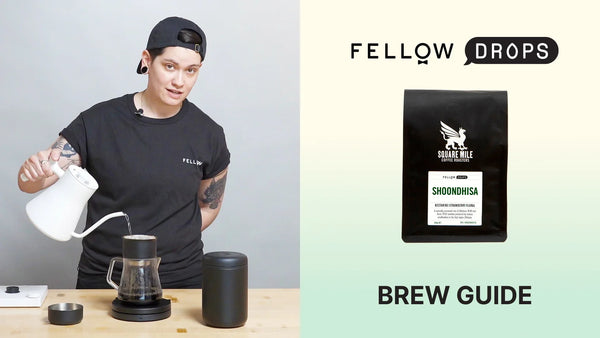 Fellow's Take On Shoondhisa by Square Mile | Brew Recipe | Fellow