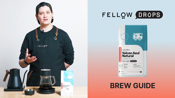 Fellow's Take On Costa Rica Volcan Azul Natural by Bird Rock | Brew Recipe | Fellow