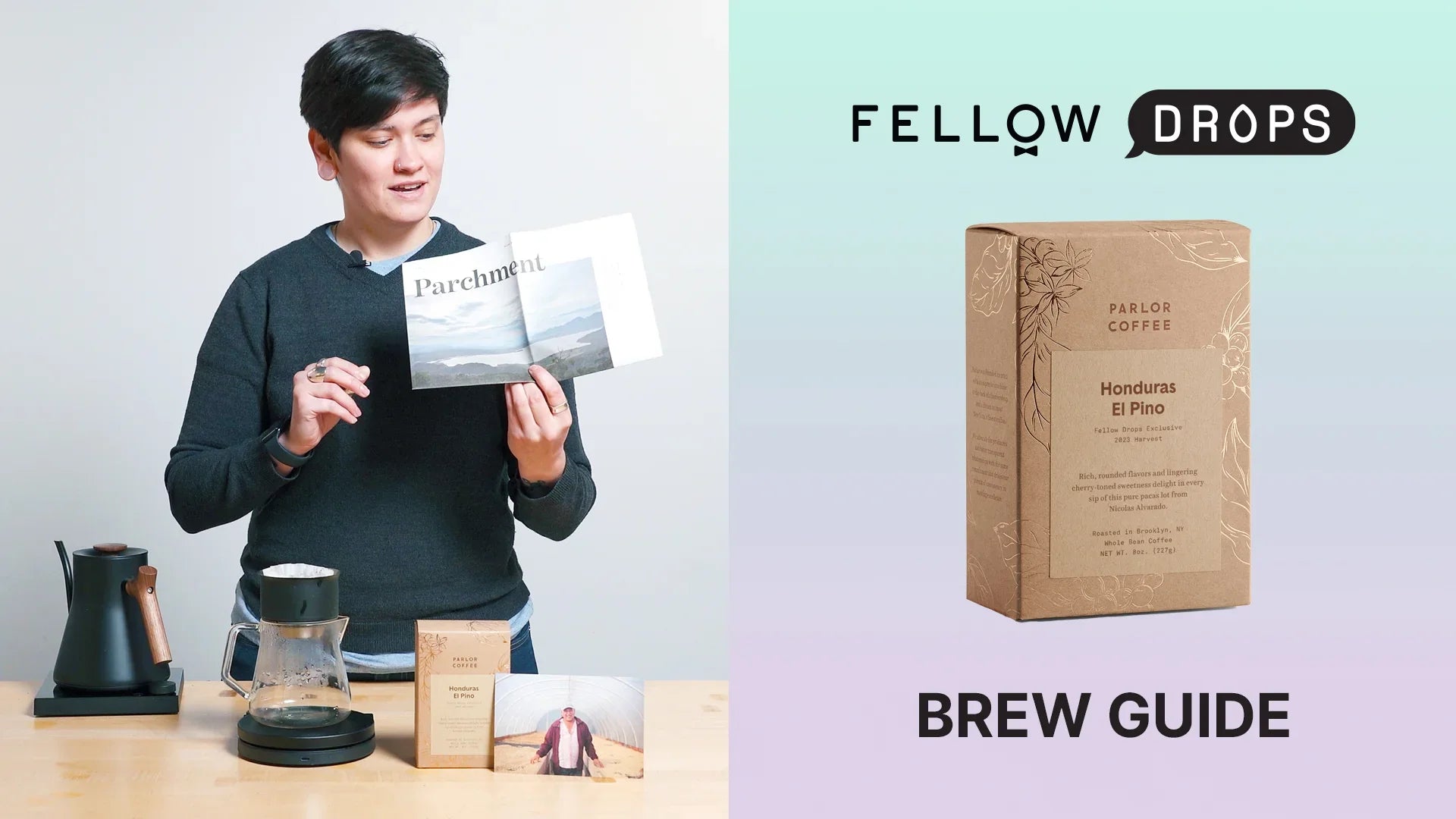 Fellow's Take On Honduras El Pino by Parlor | Brew Recipe | Fellow