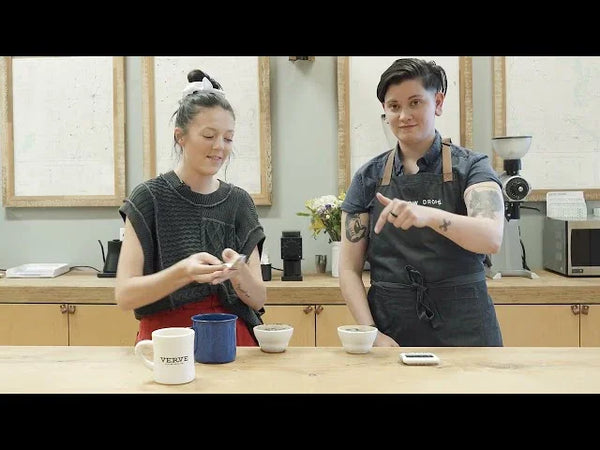 Cupping and Conversation with Verve Green Buyer Kylee Clancy | Fellow