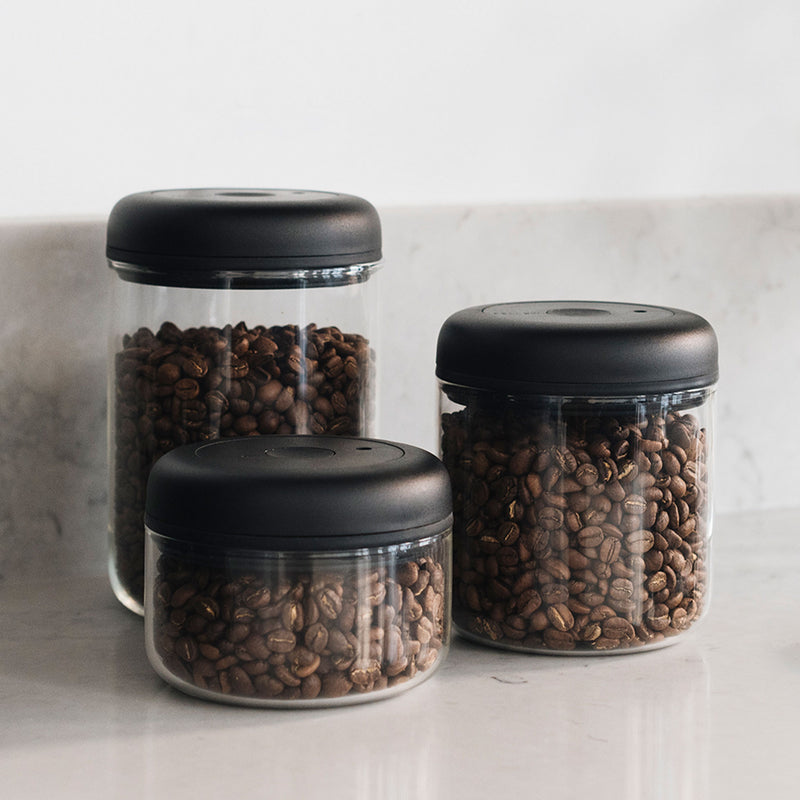 All sizes of Atmos Vacuum Canister in Clear Glass on a kitchen counter