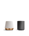 The Ceramic Set by Fellow: two modern planters styled like coffee mugs on a white background.