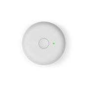 Matte White / Electric